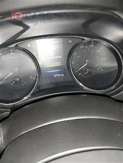 نیسان ڕۆگ سپۆرت